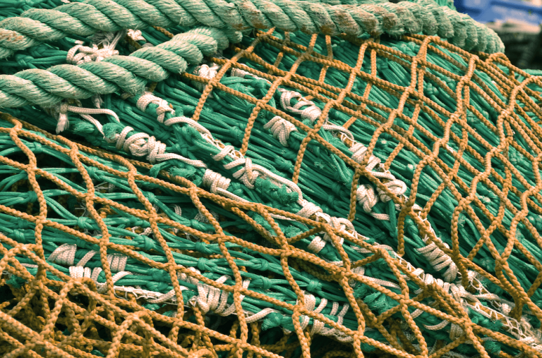 Fishing nets