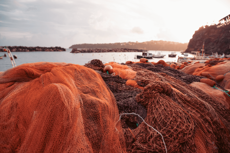 Orange fishing equipment overlooking the harbour